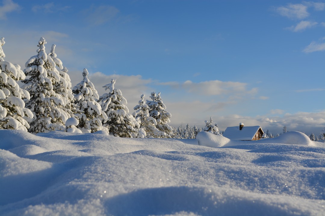 Winter Schneelandschaft